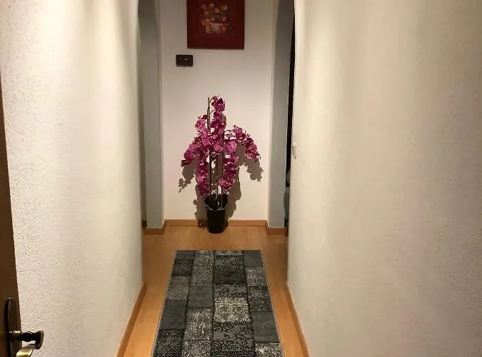 Appartement Lechleitner *