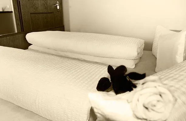 Lechleitner * 伊施格尔